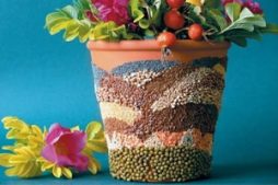 5 passos para fazer um mosaico de sementes em vaso de planta