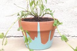 4 passos para fazer um vaso de planta decorado