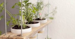 10 Ideias Simples e Geniais para Montar um Jardim Vertical em Casa