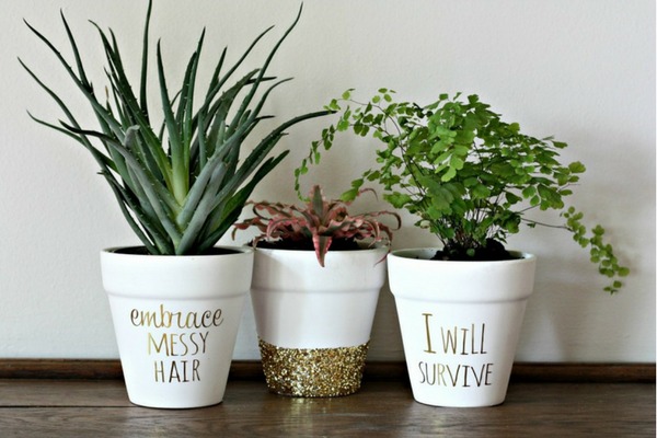 Vasos de Plantas Decorados