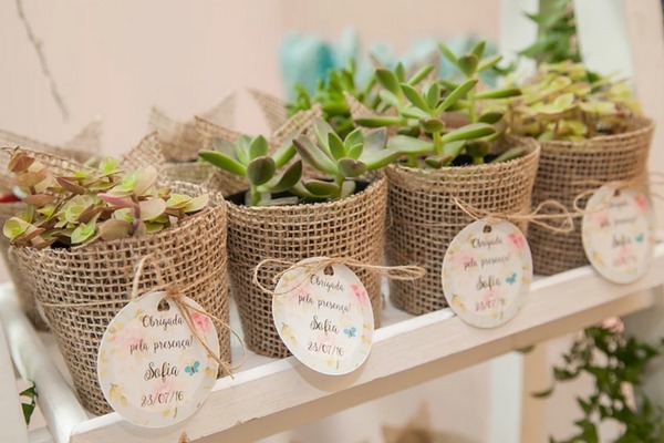 Vasos de Plantas Decorados