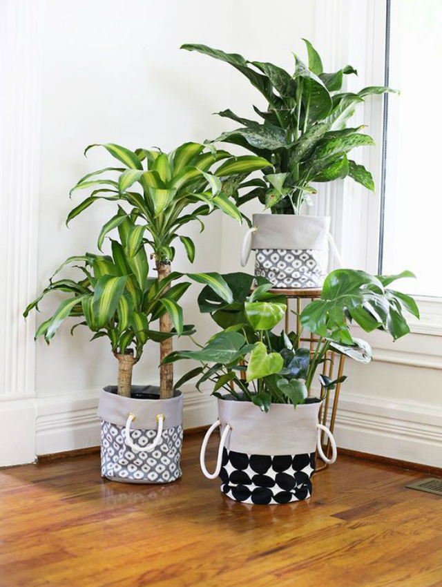vasos decorativos para plantas