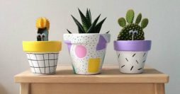 Vasos Decorativos para Plantas: 35 Modelos Lindos para Fazer em Casa