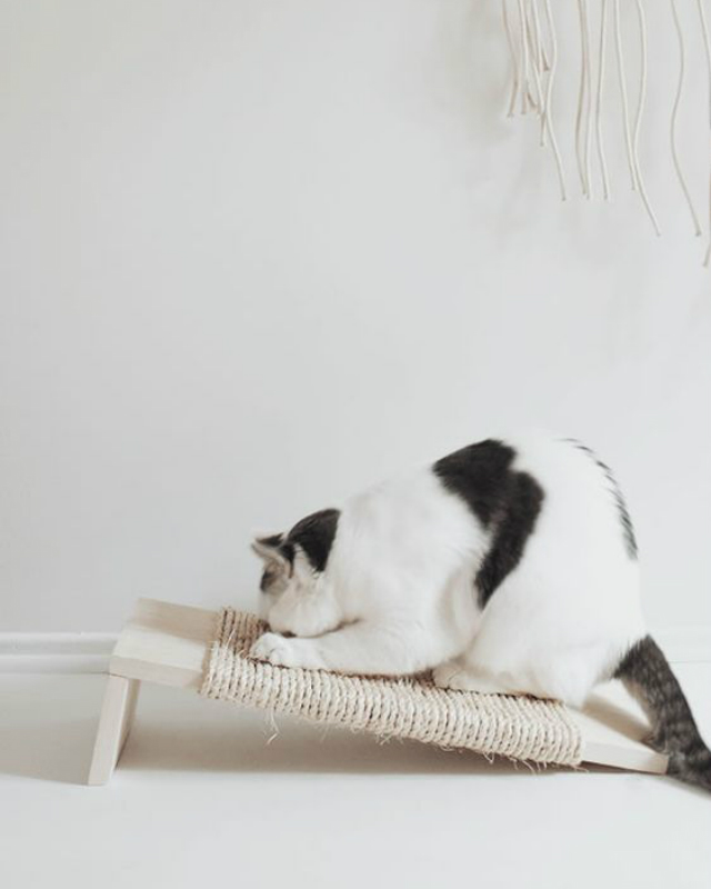 brinquedo para gato como fazer