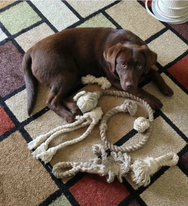brinquedo para cachorro com corda