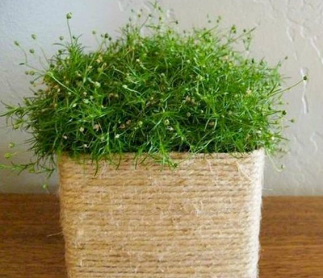 ideias com corda de sisal