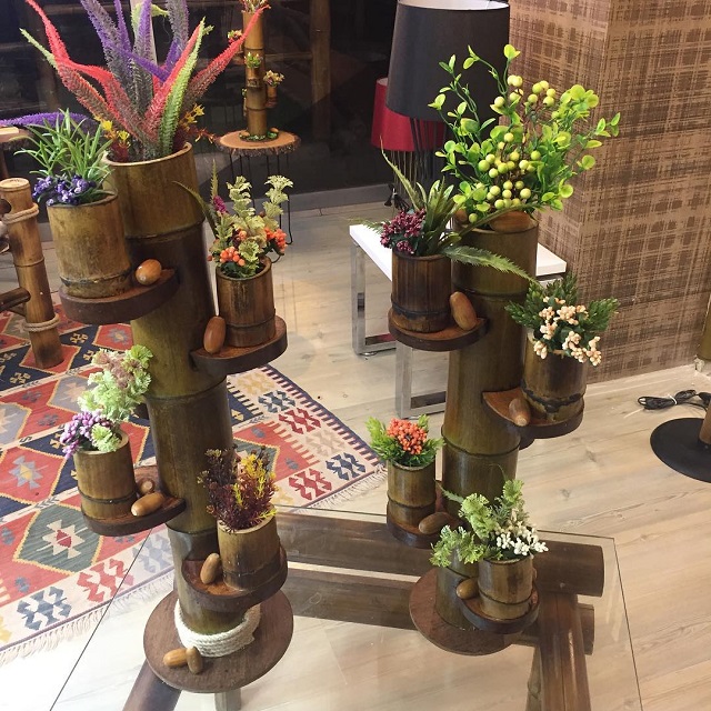 Vasos de plantas de bambu