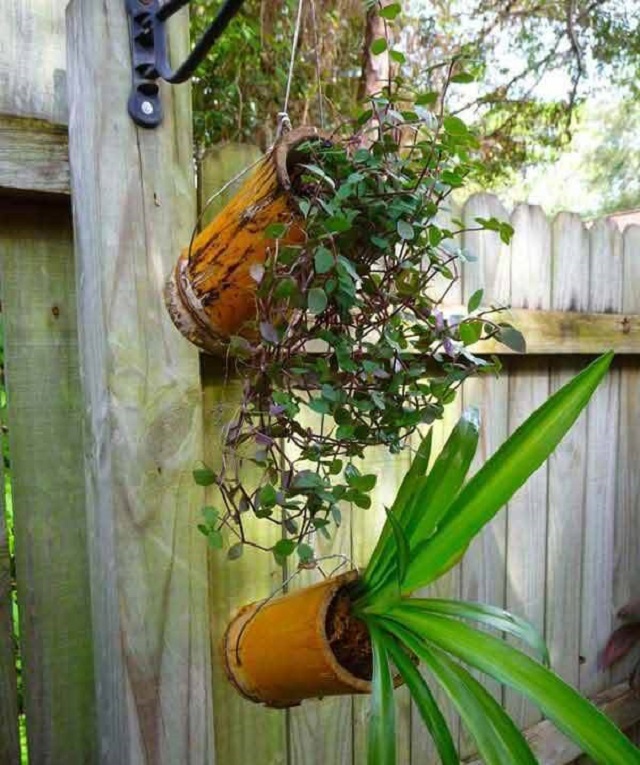 Vaso de planta de bambu