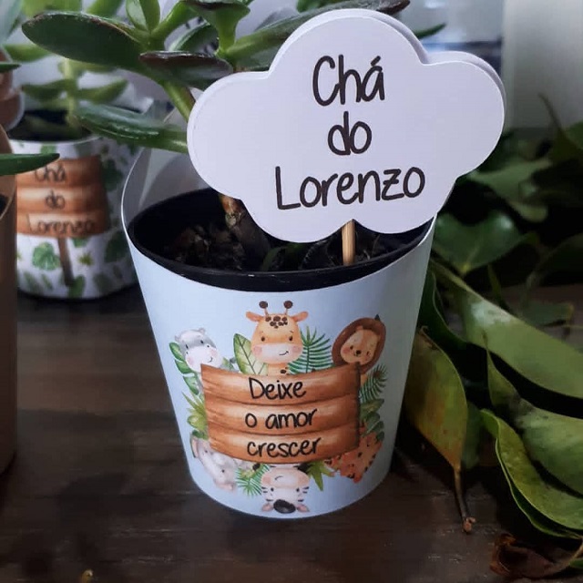 Suculenta de lembrancinha de chá de bebê