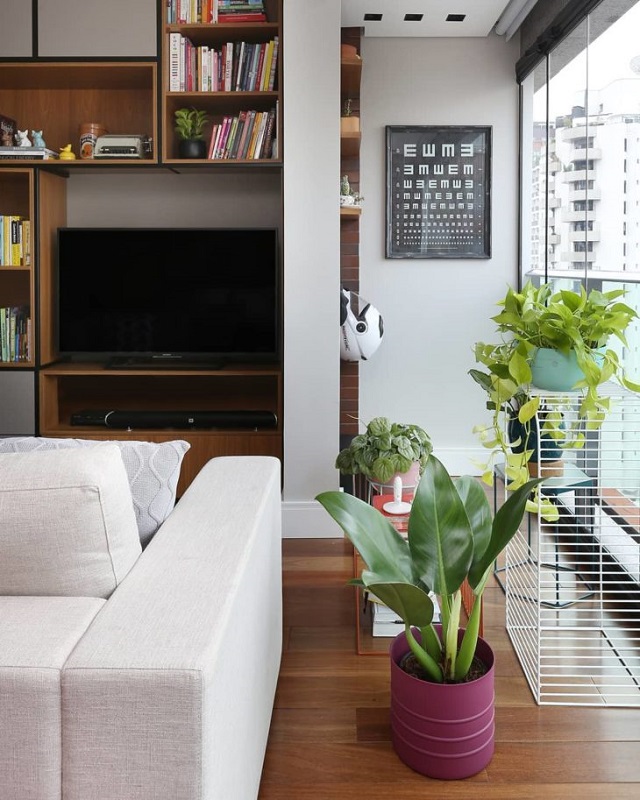 Sala com vasos de plantas