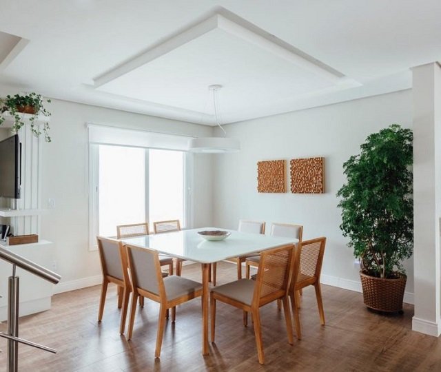 Sala com vasos de plantas