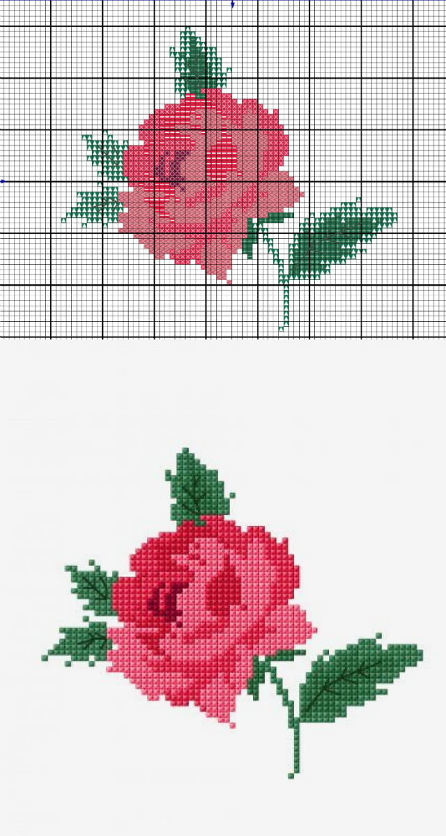 Gráficos de rosas em ponto cruz 