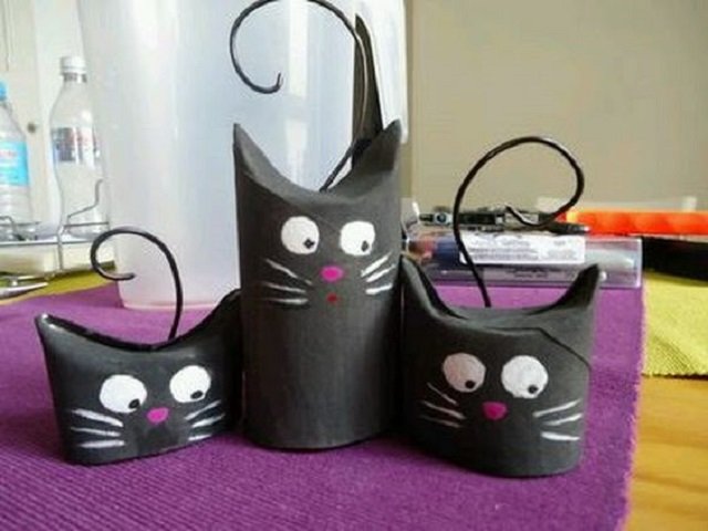 Gatos de rolo de papel higiênico