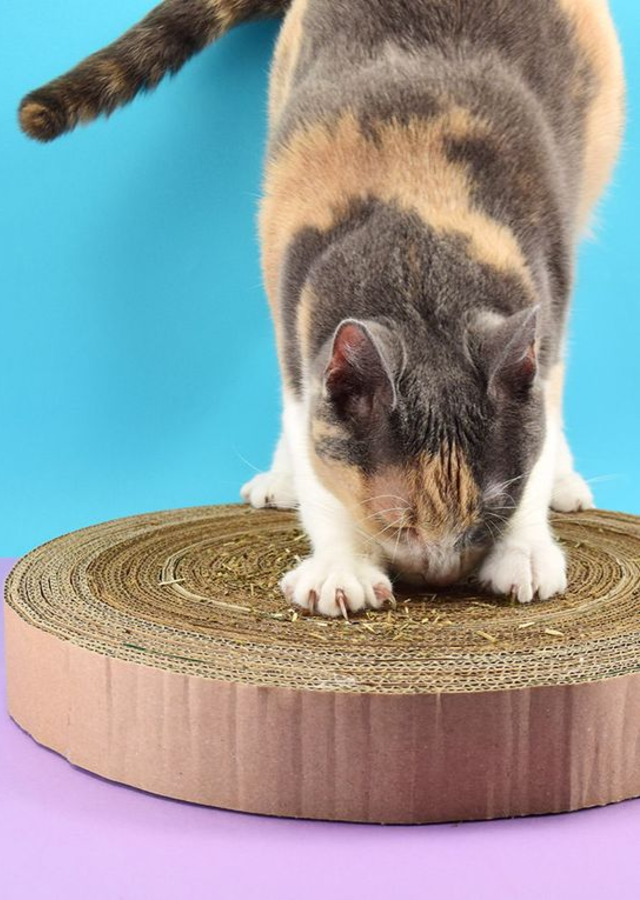 Arranhador para gatos de papelão
