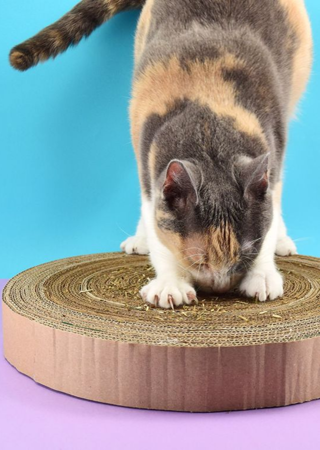 fazer arranhador para gato