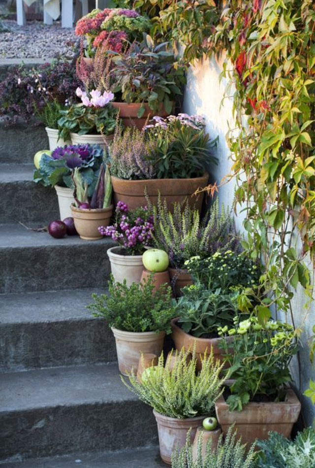 Jardim simples com vasos