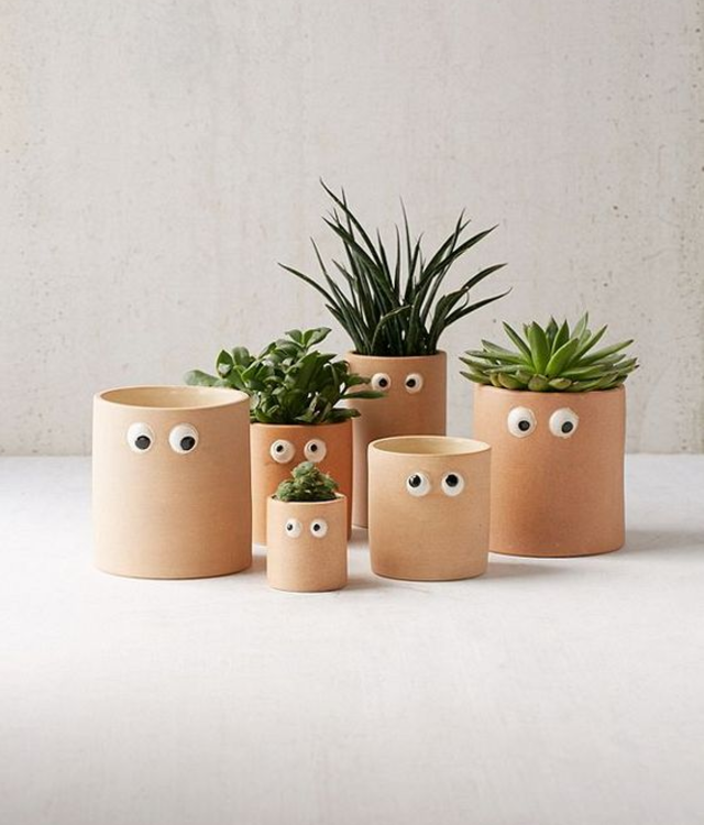 Vasos de plantas com olhinhos