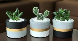 57 Ideias de Vasos para Suculentas e Cactos Lindos e Fáceis de Fazer