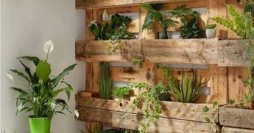 Horta e Jardim de Paletes: Aprenda Como Fazer em Casa