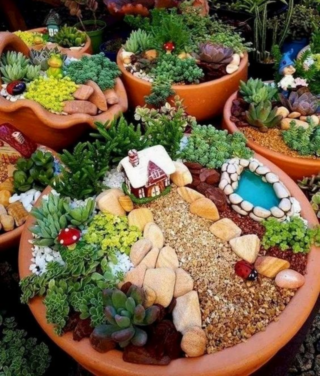 Mini jardim em vasos 