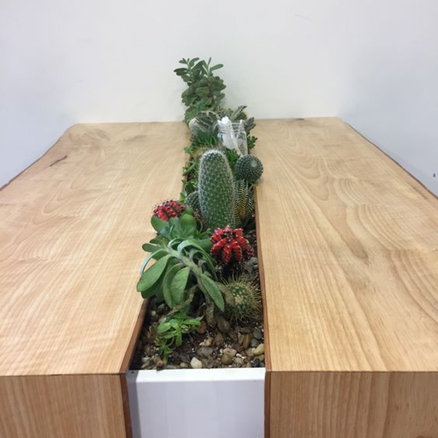 Mini jardim para centro de mesa