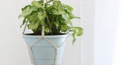 Como Fazer Macramê: Suporte para Plantas Simples e Lindo