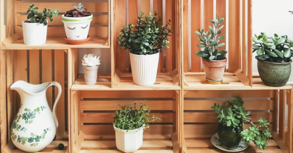 40 Ideias Lindas de Decoração com Caixotes de Madeira