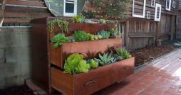 Como Fazer um Jardim Vertical Simples e Compacto
