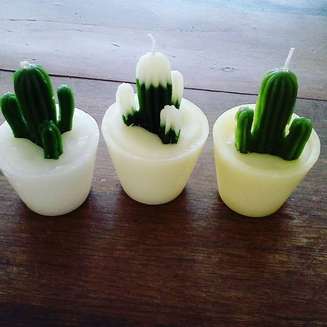 Velas de cactos