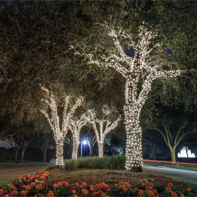 luzes de natal no jardim