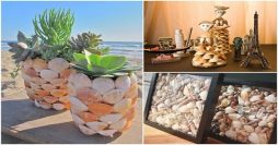 Artesanato com Conchas: 51 Ideias com Passo a Passo
