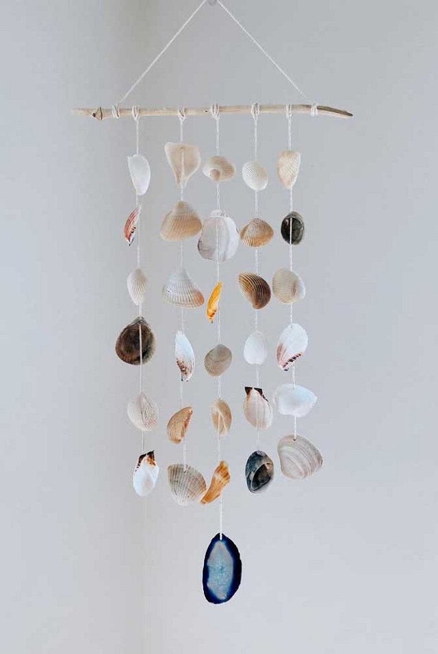 decoração com conchas do mar