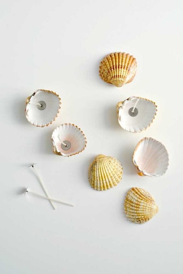 decoração com conchas