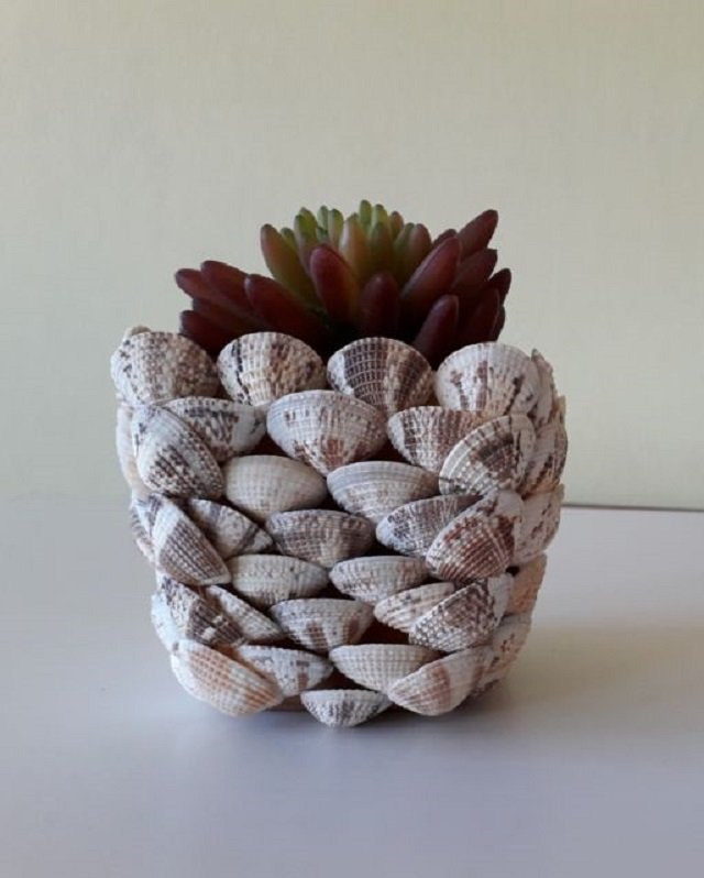 Artesanato com conchinha
