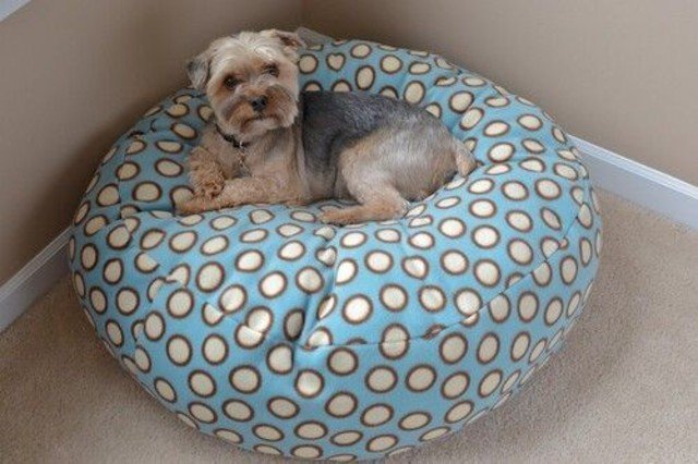como fazer uma casa para cachorro