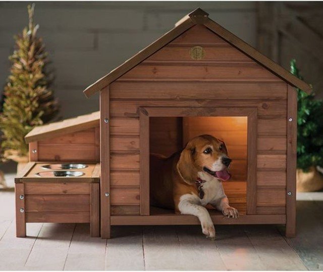 fazer casinha de cachorro barata