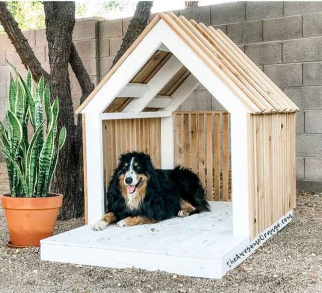 como fazer casinha de cachorro