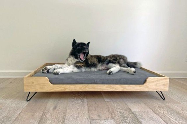 casinha de cachorro como fazer