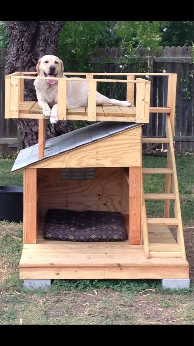 casinha de cachorro facil de fazer