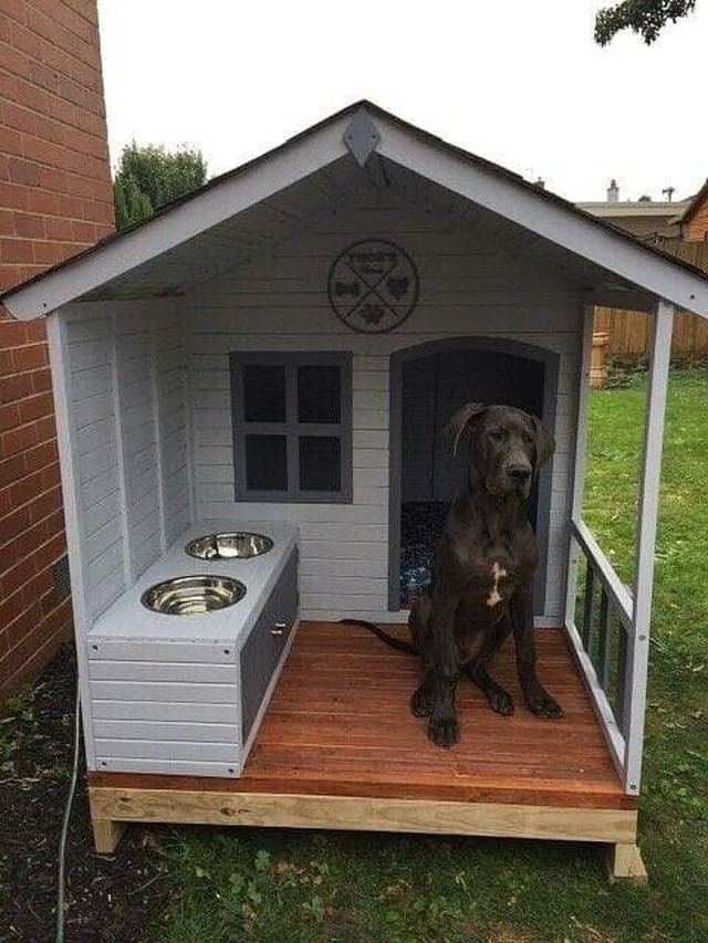 como fazer casa de cachorro