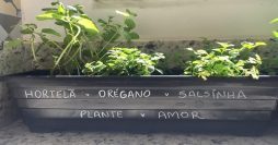 Horta de Temperos em Casa: 10 Dicas para Fazer a Sua