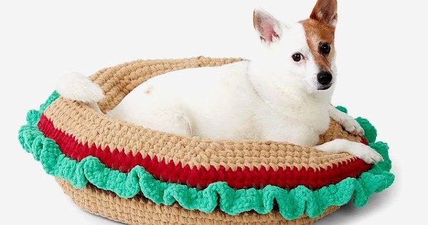 Caminha de Cachorro de Crochê: Passo a passo + Gráficos