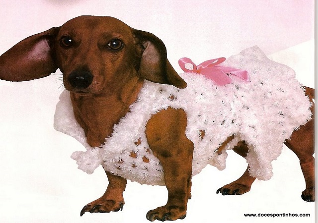 roupa pet crochê fácil