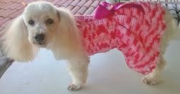 Vestido de Crochê para Cachorro: 10 Gráficos + Passo a Passo