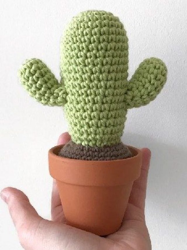 Cactos de crochê