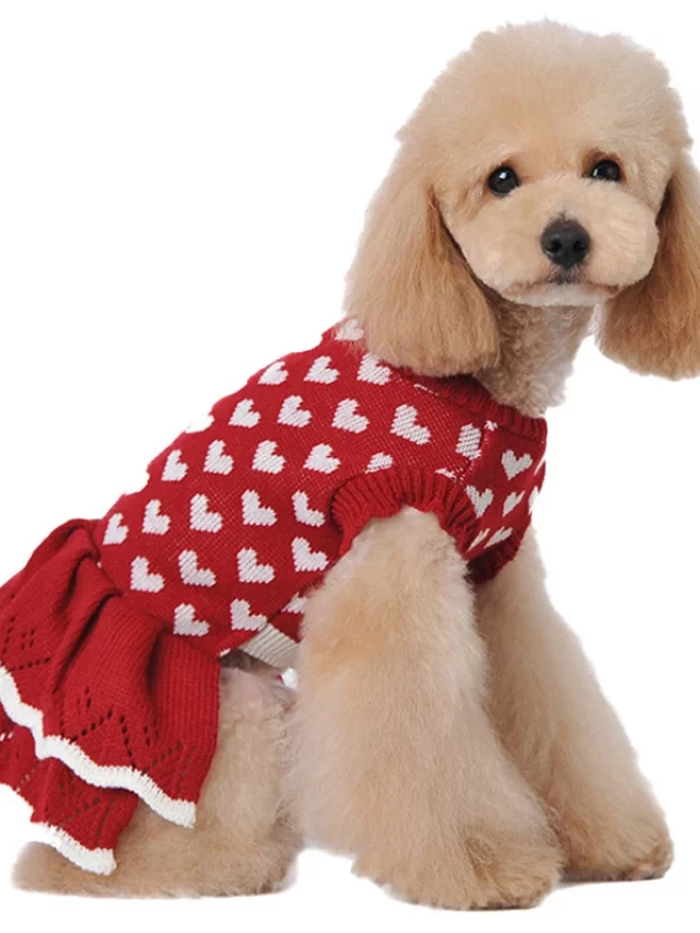 Vestidos de crochê para cachorro