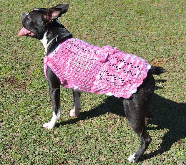 Vestido de crochê para cachorro.