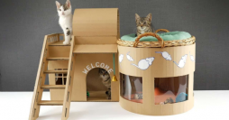 Casinha para Gatos: 38 Ideias Criativas com Materiais Reciclados