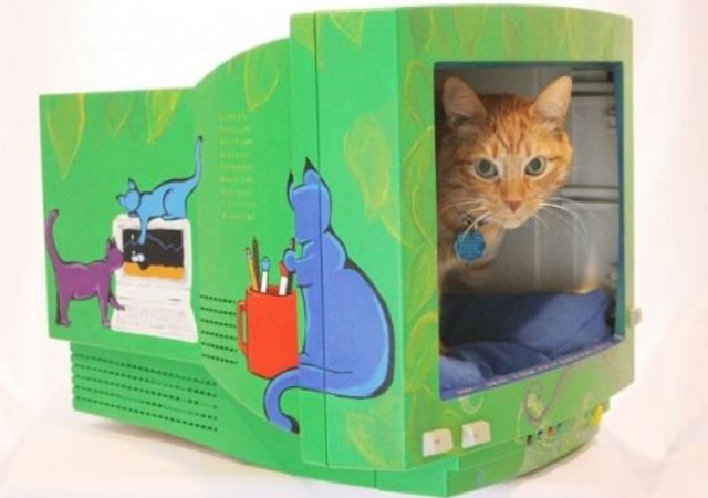 casinha para gatos com material reciclado