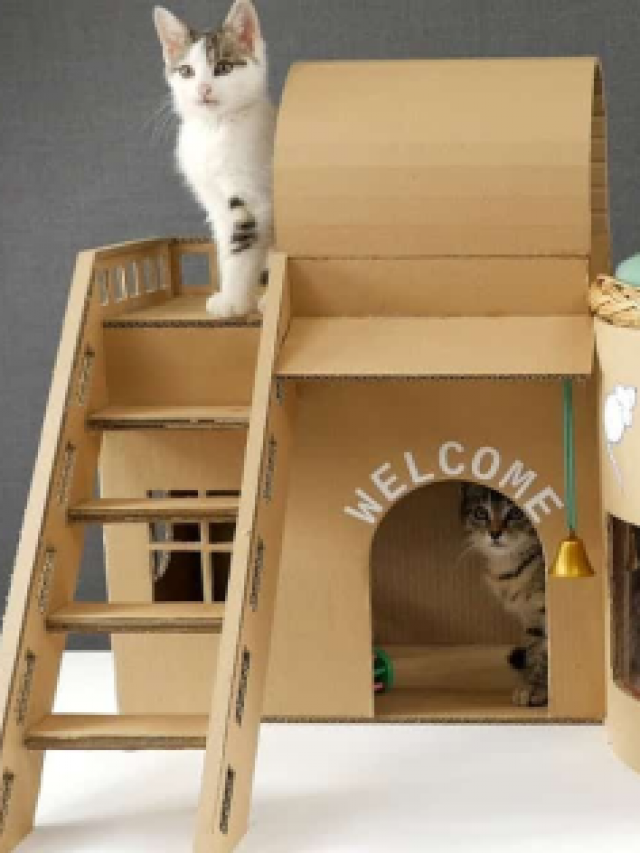 Casinhas para gatos materiais reciclados